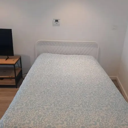 Zwijnaarde فيلة *